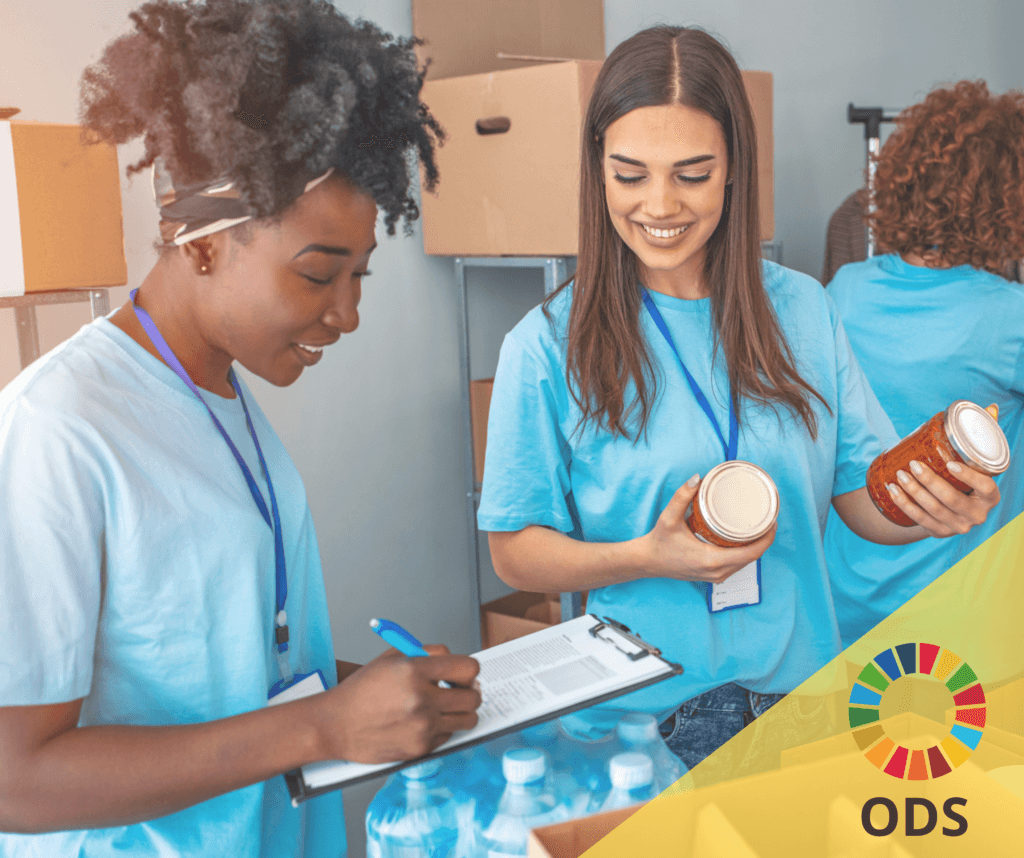 31 Ideias Para Celebrar O Dia Nacional Do Voluntariado Base Nos ODS