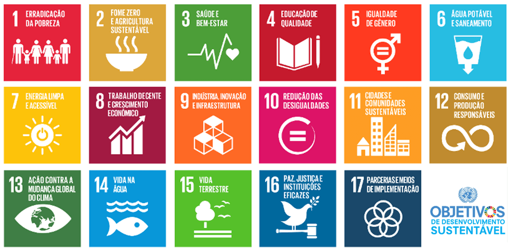 17 objetivos de desenvolvimento sustentavel