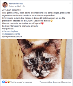 voluntariado online proteção animal
